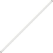 Лампа люминесцент. OSRAM 36W/765 Смоленск, ЛЛ G13 дневная